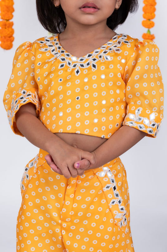 Bandhej Printed Mirrorwork Palazzo Set