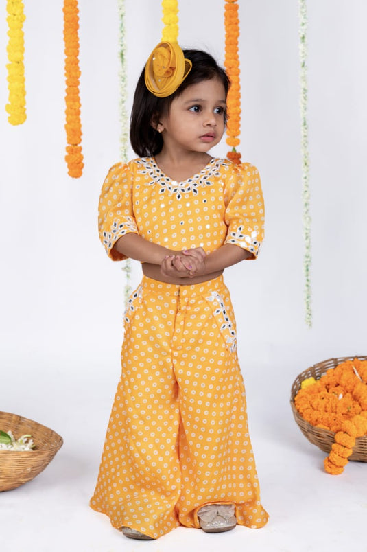 Bandhej Printed Mirrorwork Palazzo Set