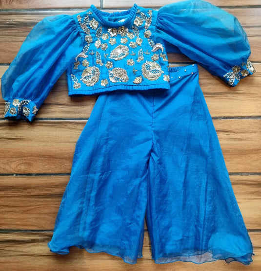 Blue Embroidered Palazzo Set
