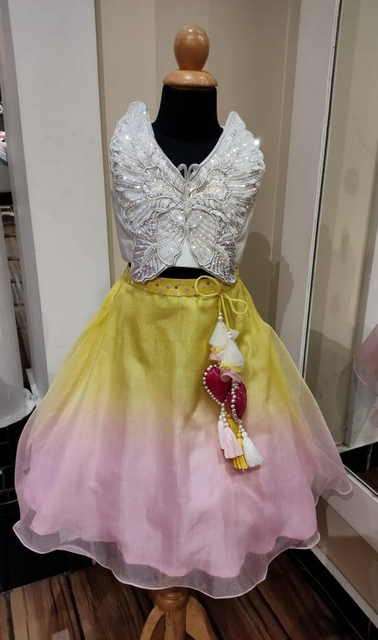 Butterfly Embroidered Shaded Lehenga Set