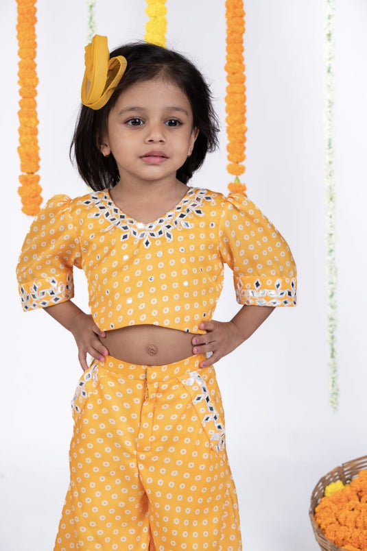 Bandhej Printed Mirrorwork Palazzo Set