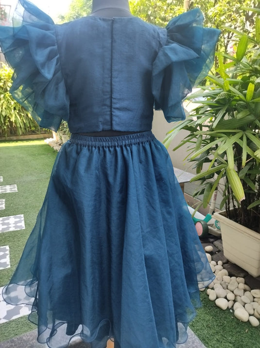 Blue Embroidered lehenga