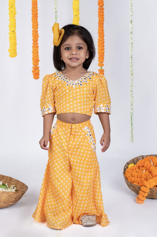 Bandhej Printed Mirrorwork Palazzo Set