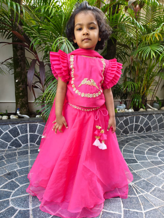 Rani Pink Royal lehenga