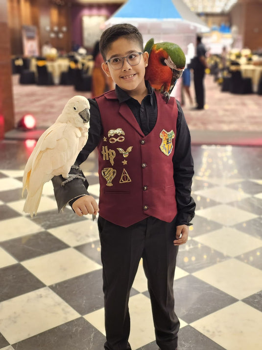 Maroon Harry Potter Theme Waistcoat Set With Pant