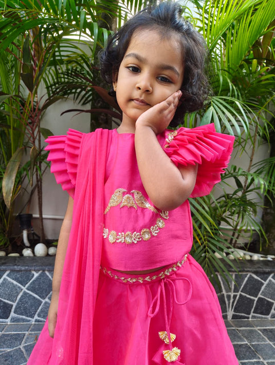 Rani Pink Royal lehenga